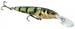 Frenzy Minnow